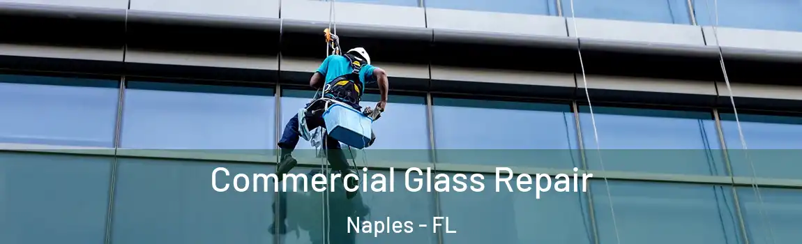  Commercial Glass Repair Naples - FL