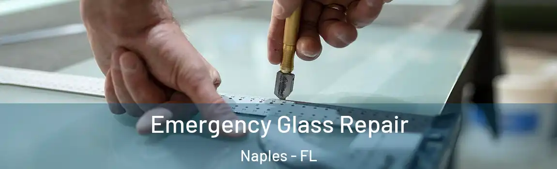  Emergency Glass Repair Naples - FL