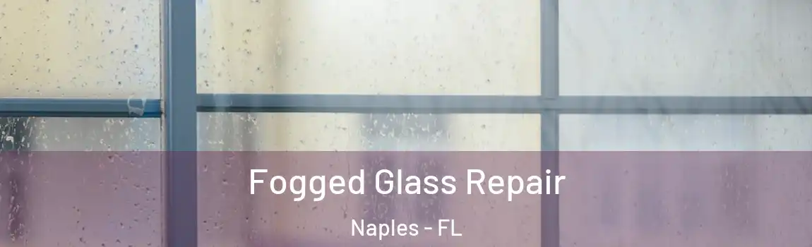  Fogged Glass Repair Naples - FL