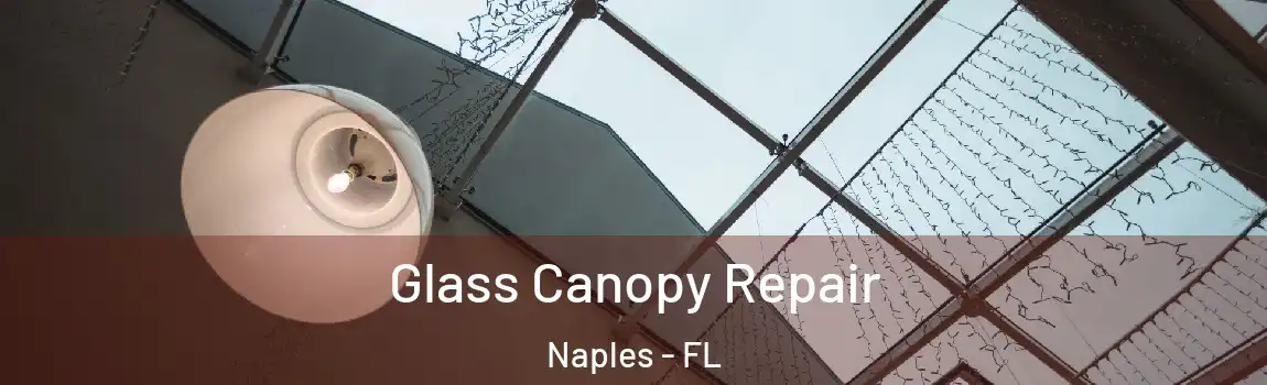  Glass Canopy Repair Naples - FL