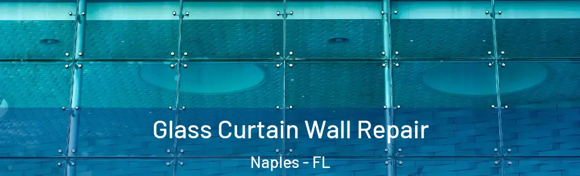 Glass Curtain Wall Repair Naples - FL