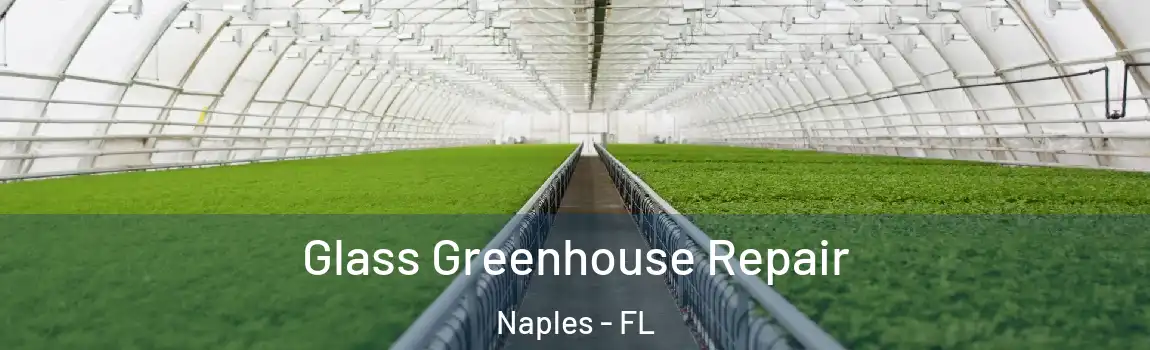  Glass Greenhouse Repair Naples - FL
