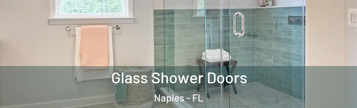  Glass Shower Doors Naples - FL