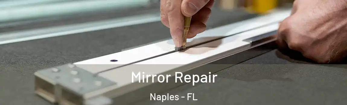  Mirror Repair Naples - FL