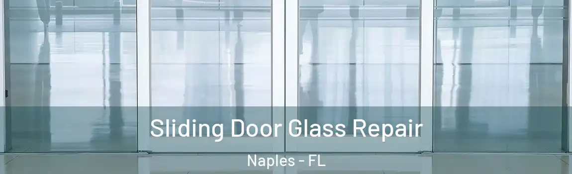  Sliding Door Glass Repair Naples - FL