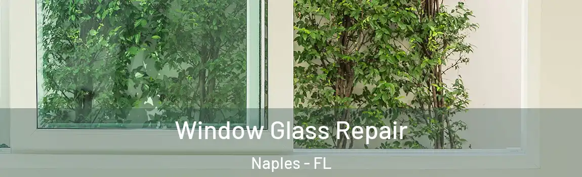  Window Glass Repair Naples - FL