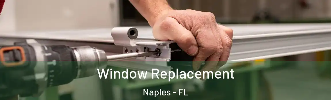  Window Replacement Naples - FL