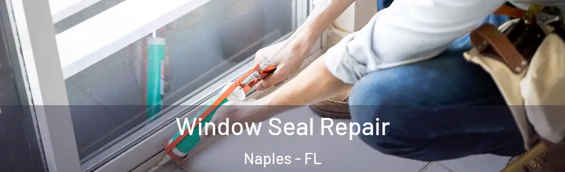  Window Seal Repair Naples - FL